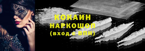спиды Богданович