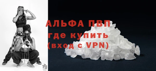 спиды Богданович