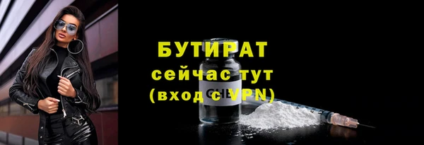 спиды Богданович