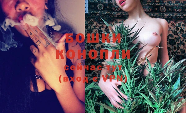 крисы Богородск