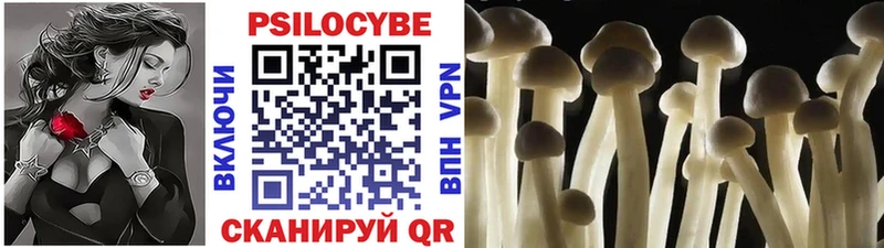 даркнет сайт  Кстово  Псилоцибиновые грибы MAGIC MUSHROOMS 